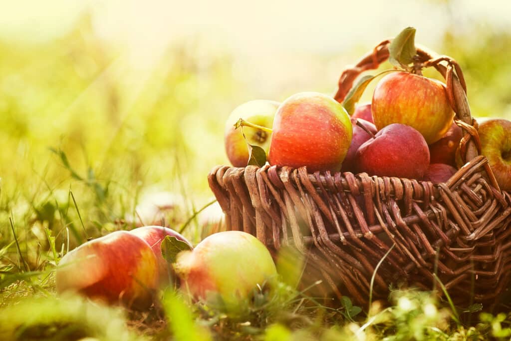 In-home care can help aging seniors enjoy healthy foods like apples in new ways and combinations.